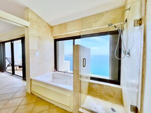 Combined shower/bathtub, jetted bath, hair dryer, towels