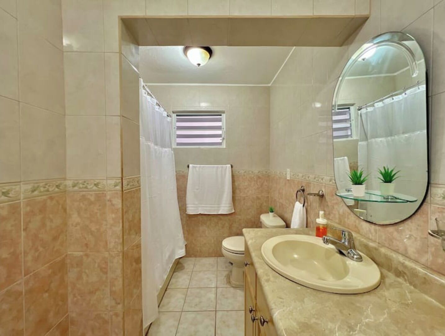 Une salle de bain avec un lavabo, des toilettes et une douche.