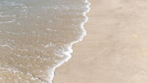 A beach with a wide sandy shore and gentle waves. - The Inn of Cape May (Cape May)