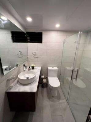 Regadera, secadora de cabello, bidet, toallas