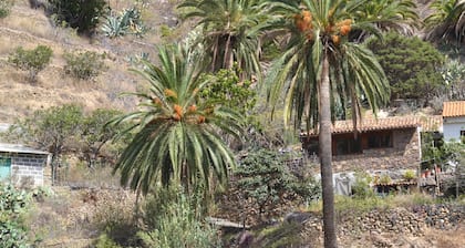 C. Rural Risco Padrón: Beautiful old house in an environment of total tranquility