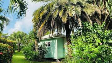 A small, single-story structure surrounded by lush greenery and palm trees.