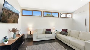 Smart TV, fireplace, Netflix, DVD player