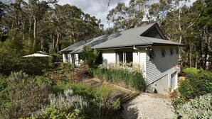 Una casa amb un teulat inclinat, envoltada de vegetació i arbres densos.