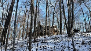 Una cabaña rodeada de altos árboles en un bosque nevado.