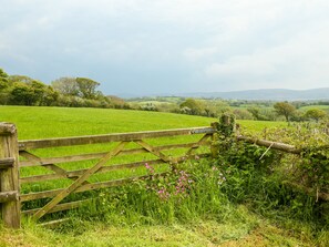 Property grounds - Henllys Lodge (Crymych)