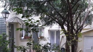 A courtyard with potted plants, a tree, and a white building with a window and a door. - Haut Marais, rue Volta, 2 bedrooms, 2 bathrooms (Paris)