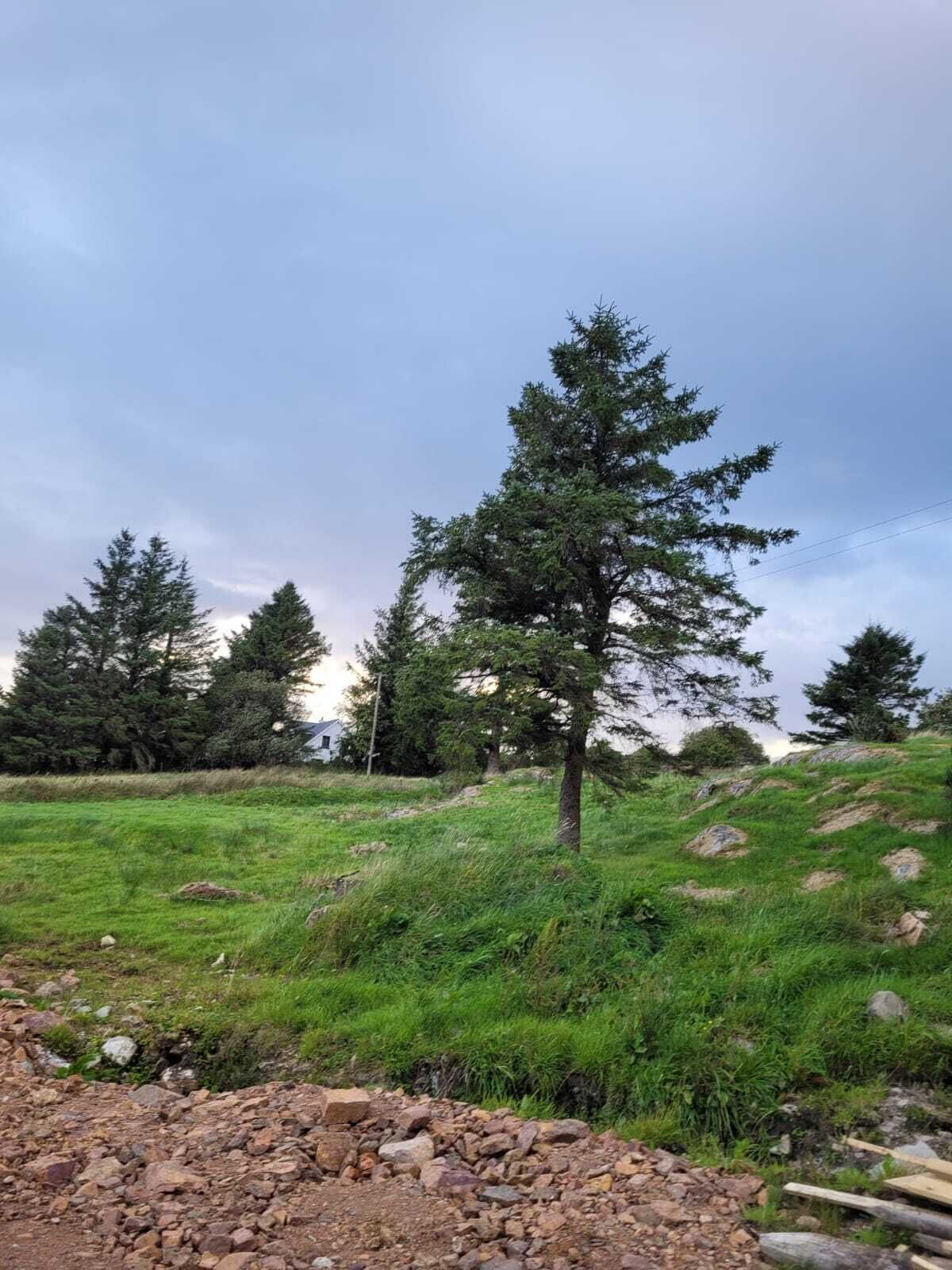 Chalet, Meerdere bedden | Terrein van de accommodatie