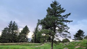 Chalet, plusieurs lits | Enceinte de l’hébergement