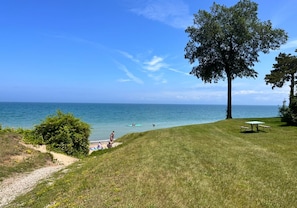 A grassy area with a picnic table and a large tree.