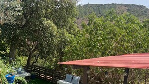 A patio area with a green artificial turf, a wooden deck, and a blue railing. - Family retreat with private pool, be with your loved ones and create memories.... (São Bartolomeu de Messines)