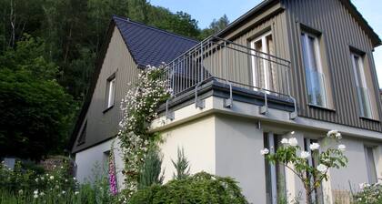 On the Elbe - House Minuet
