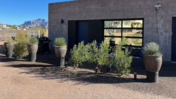 Un bâtiment moderne doté d’une grande fenêtre et d’une porte, entouré de plantes en pot.