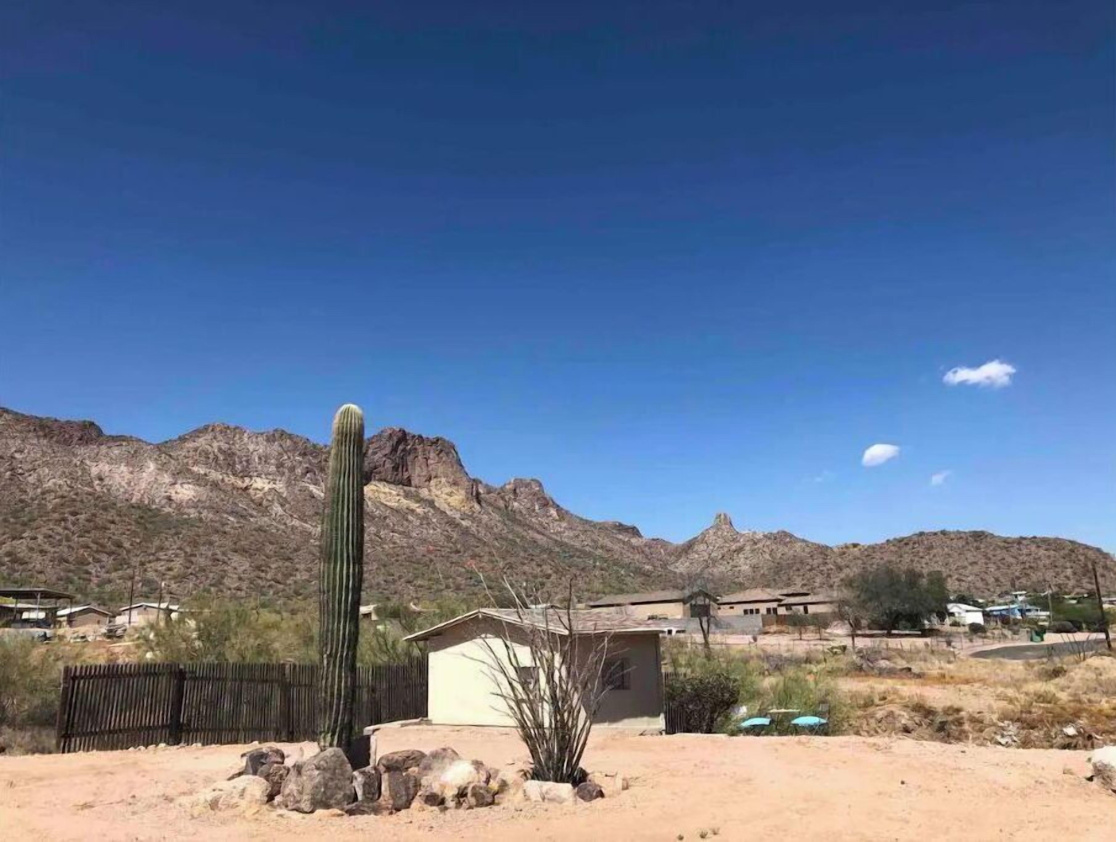 Un paysage désertique avec un grand cactus en évidence, un petit bâtiment et des montagnes lointaines sous un ciel dégagé.