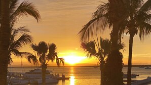 A marina with boats docked, palm trees, and a sunset over the water.