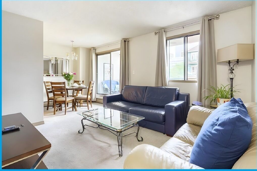 Smart TV, Netflix, books, streaming services