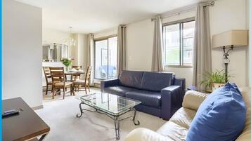 Smart TV, Netflix, books, streaming services