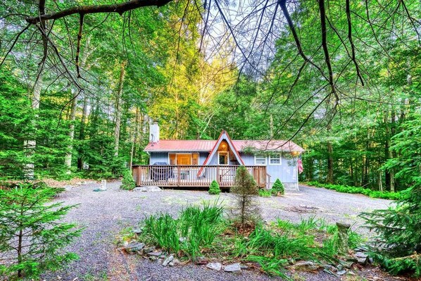 A cabin with a red roof and a porch, surrounded by dense forest.