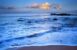 Playa en los alrededores, camastros y toallas de playa 