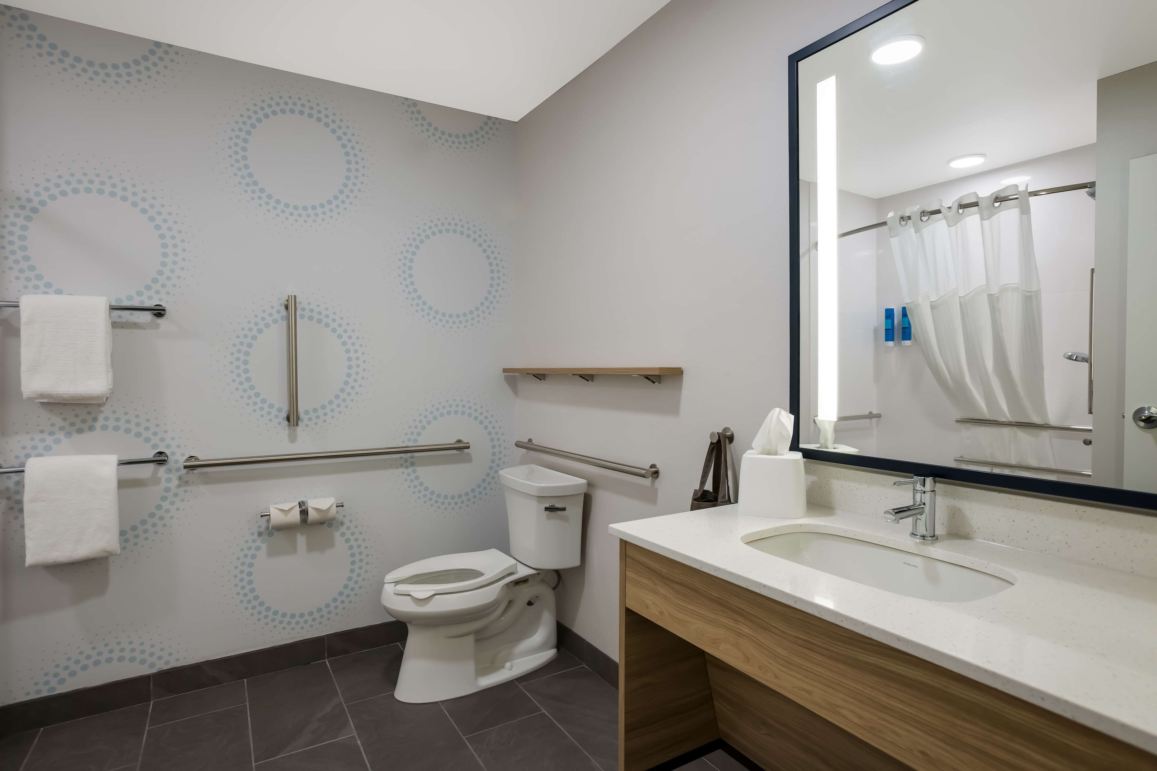 A modern bathroom with a toilet, handrails, a sink, and a mirror.