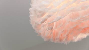 A close-up of a feather-like structure with a gradient from white to pink.