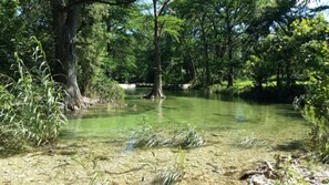 A natural landscape with a clear water body surrounded by trees and vegetation. - Old Glory River Cabin (Utopia)