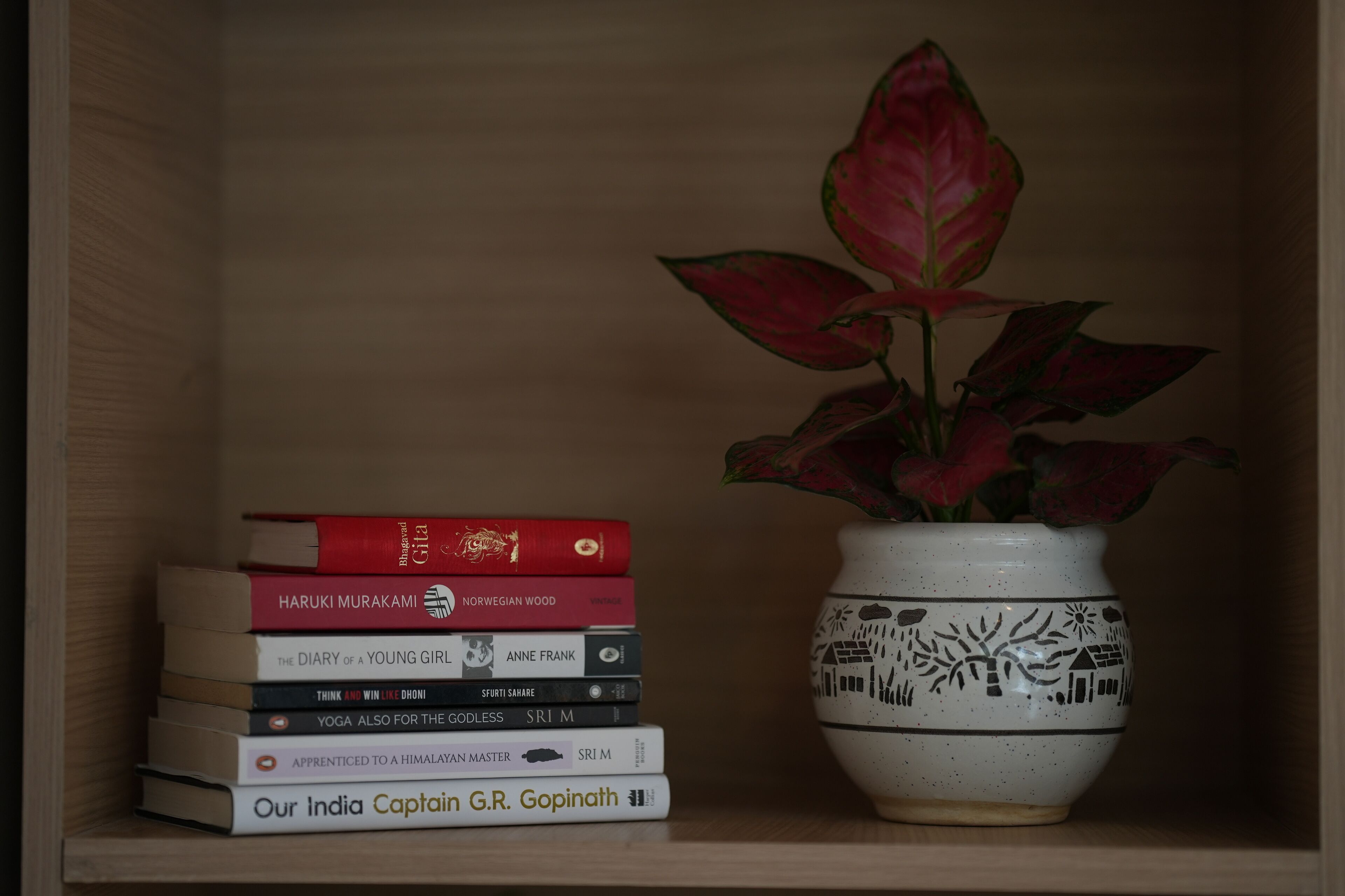 A shelf with a stack of books and a potted plant.
