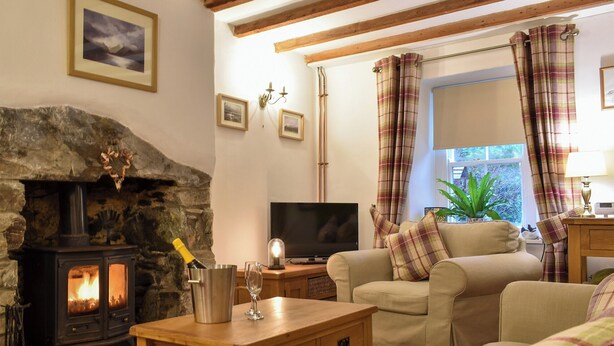 Ein gemütliches Wohnzimmer mit Kamin, Fernseher und einer Couch.