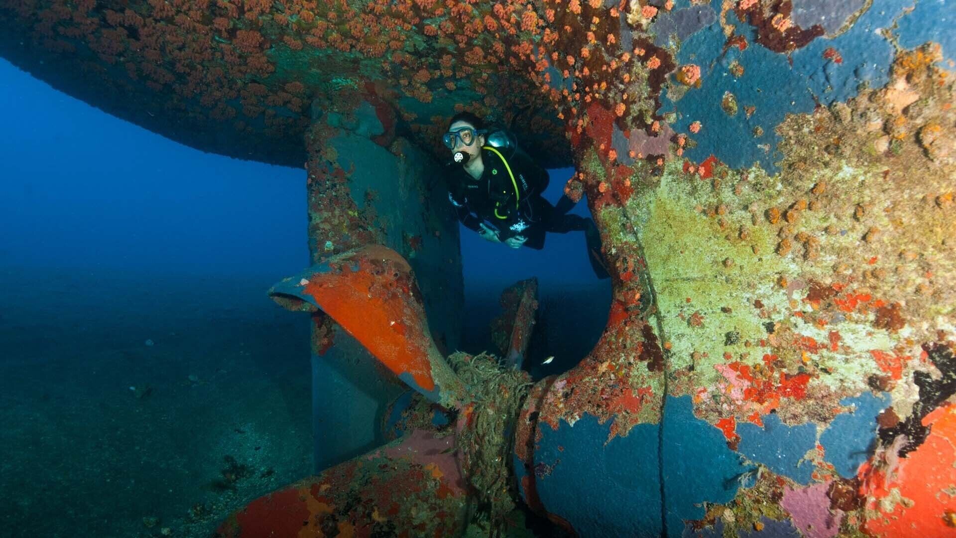 A diver exploring a sunken shipwreck with visible rust and marine growth.