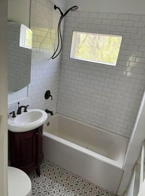 Combined shower/tub - Lake View Apartment in Cedar Lake 2bed/1bath (Cedar Lake)