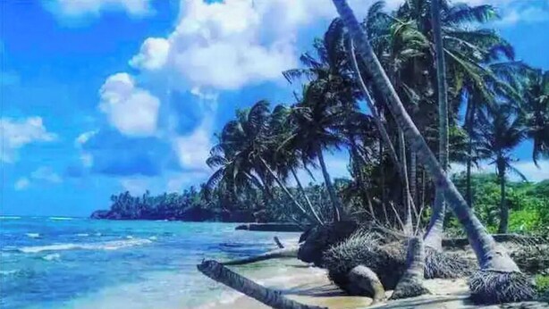A tropical beach scene with palm trees and clear blue water. - Tropical Paradise. Little Corn Island (RAAS)