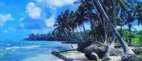 Beach nearby