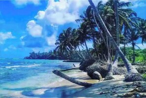A tropical beach scene with palm trees and clear blue water.