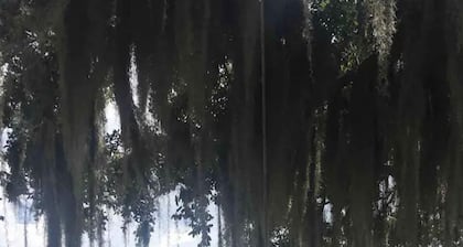 Bellaâs bungalows on Lake June in Winter