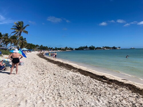 OPEN WATERFRONT [not canal] HOUSE [not duplex] Snorkel right from your backyard 