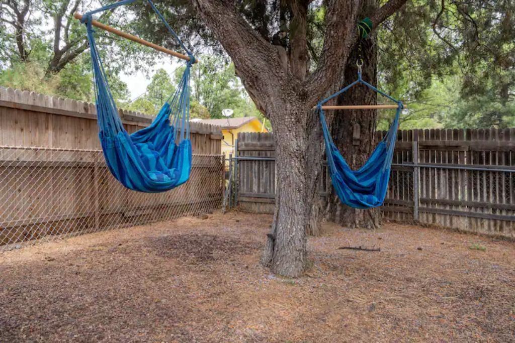 Un árbol con dos hamacas azules colgadas de sus ramas.