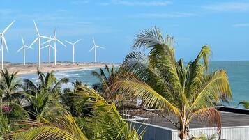 Uma área costeira com turbinas eólicas, palmeiras e uma praia de areia.