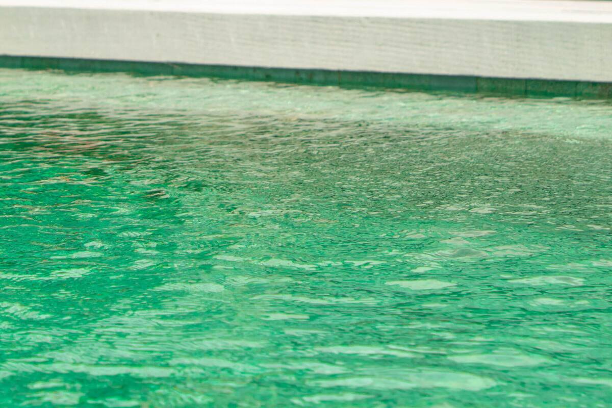 A modern pool area with clear water, surrounded by greenery and a building with large windows and outdoor seating.