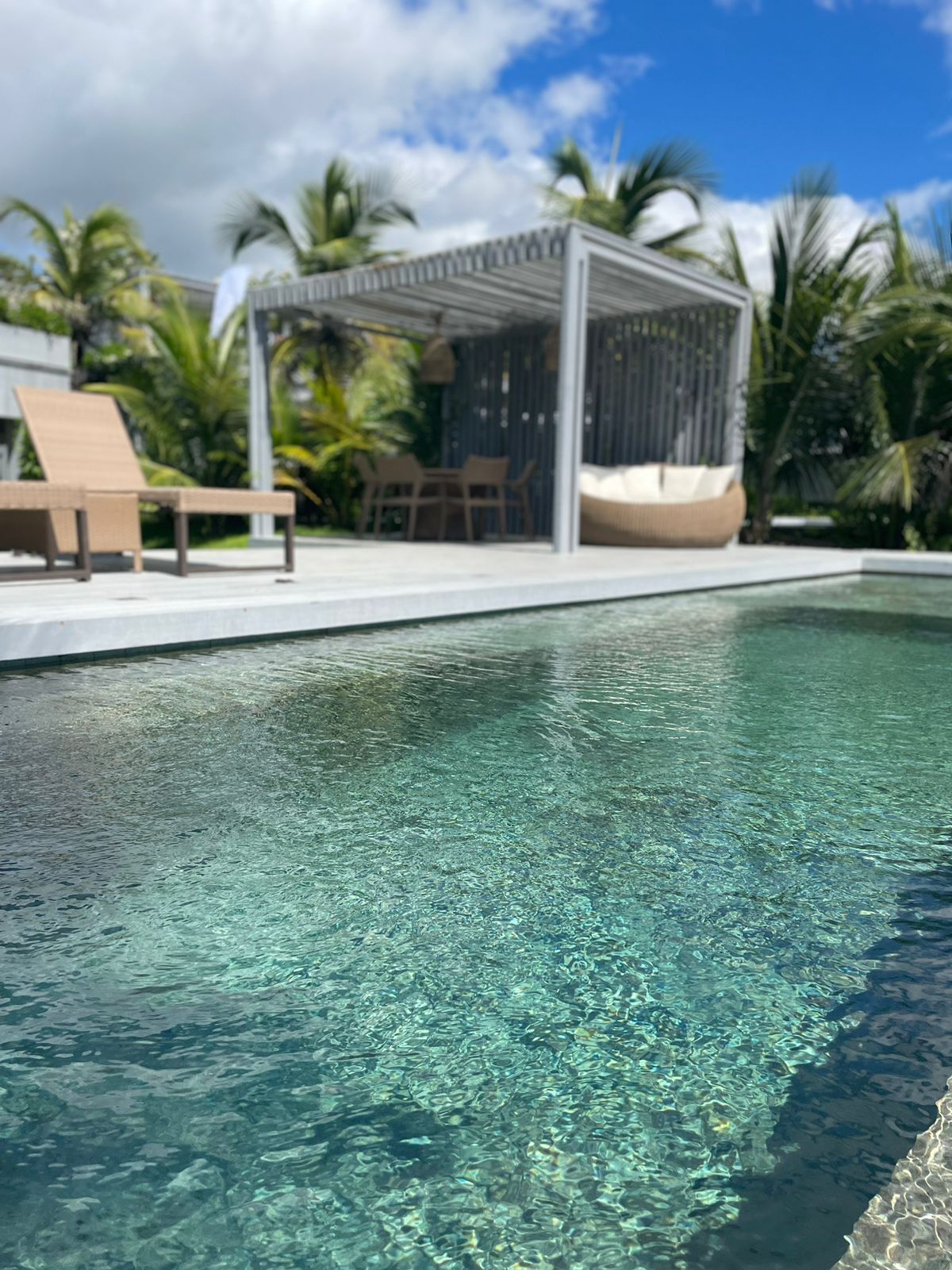 En klar swimmingpool med liggestole og et overdækket siddeområde, omgivet af palmer.