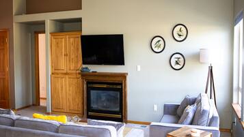 Smart TV, fireplace, video games, books
