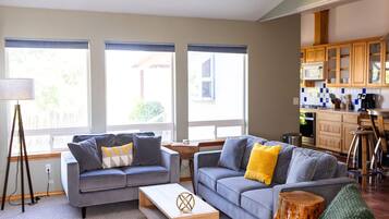 Smart TV, fireplace, video games, books
