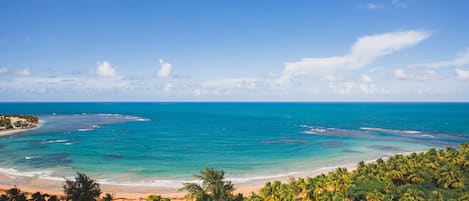 Plage, chaises longues, serviettes de plage