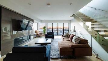 TV, fireplace, offices