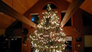 Un gran arbre de Nadal ben il·luminat a l'interior d'un espai de fusta amb un sostre alt i bigues al descobert.
