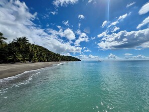 A beach with clear turquoise waters, a sandy shore, and a line of palm trees under a partly cloudy sky.