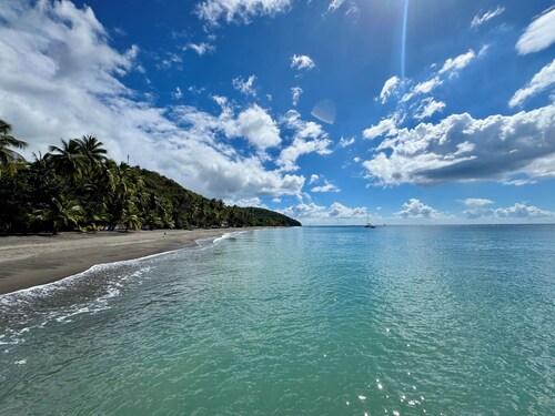 2 air-conditioned bedrooms, 2 minutes from the beach, wifi, garden at Carbet .