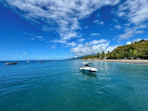 2 air-conditioned bedrooms, 2 minutes from the beach, wifi, garden at Carbet .