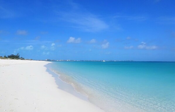 Playa en los alrededores 