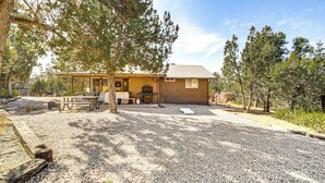 A wooden cabin with a gravel driveway, outdoor seating, and a large tree in front.