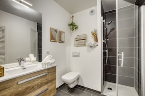 Shower, hair dryer, towels